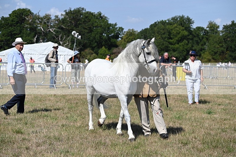 WJ6_4743 - Class 17 Mountain & Moorland