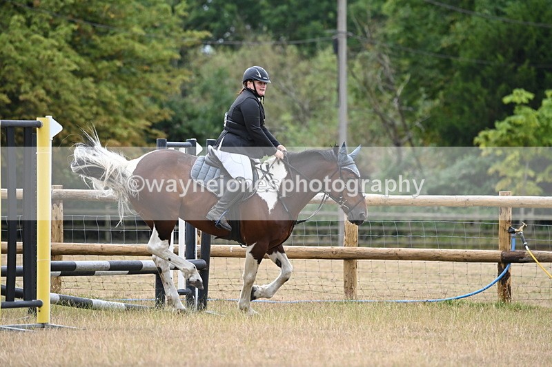 WJ6_0366 - Class 13 Novice Jumping 60cm