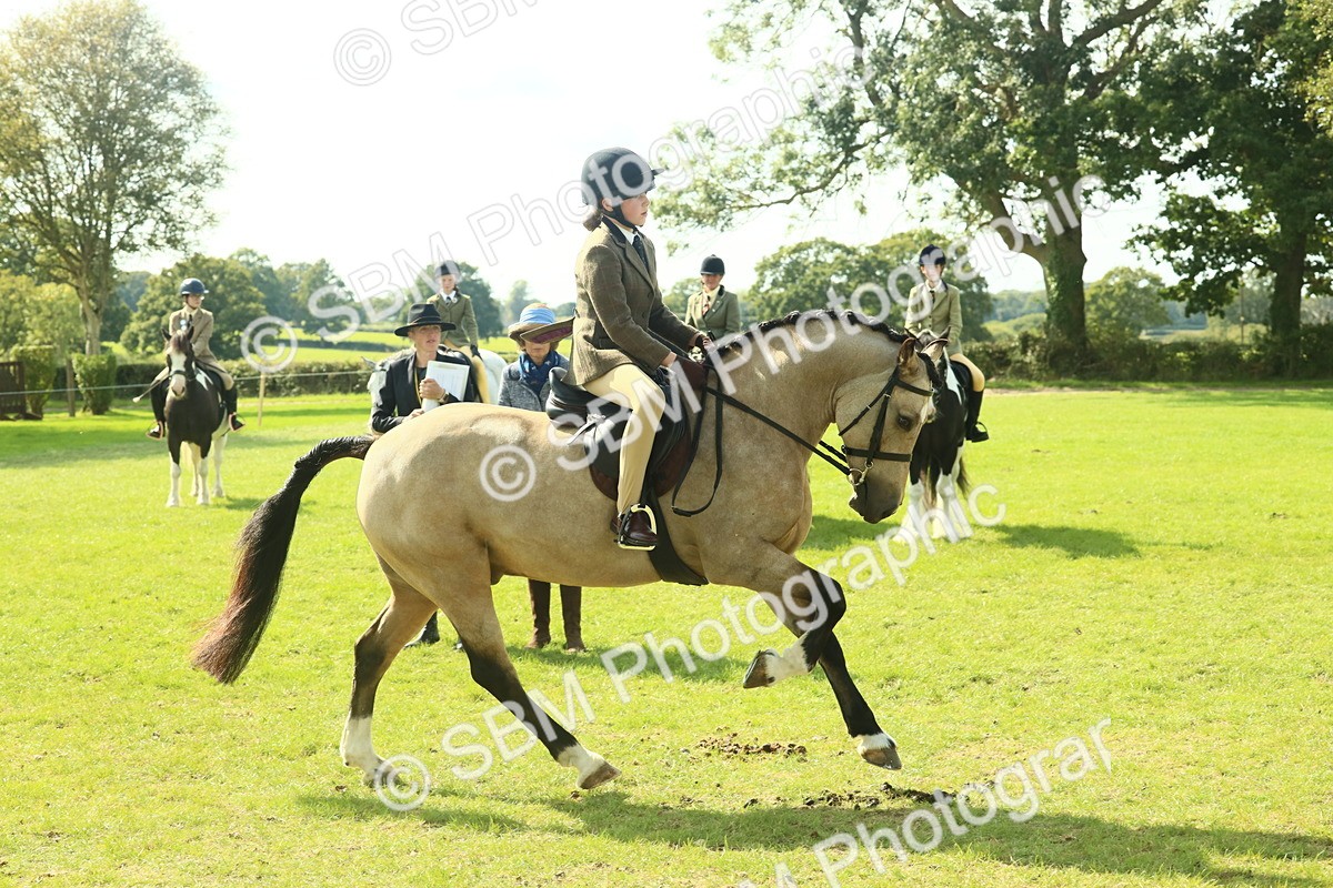 SBM_67631 - S56 - Coloured Pony Ridden