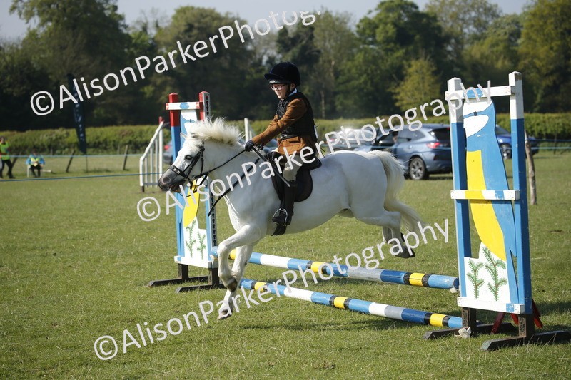 20250427-0306 - Class 12 - Rookie Jumping 40cm