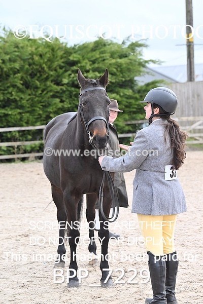 BPP_7229 - RING 1  (RIDDEN HORSES / IN HAND / VETERAN ETC)