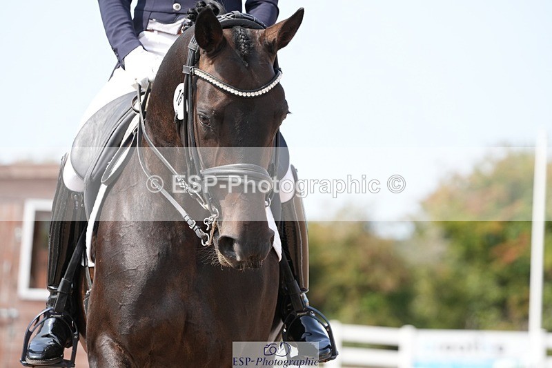 250815-124409-01053 - 016-Ben.JamesToto.light