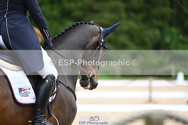 240524-181036-11589 - 164-MOONLIT_SWAYZE-Daisy_Bathe