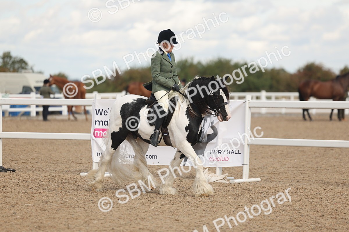 SBM_14638 - Class 307 - Ridden Coloured Pony