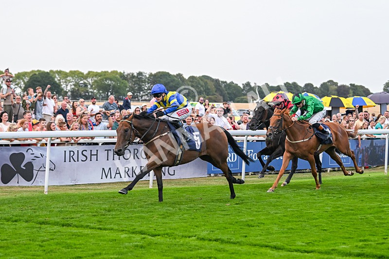 240825-Race 6-Dr Rio-3859 - Race 6