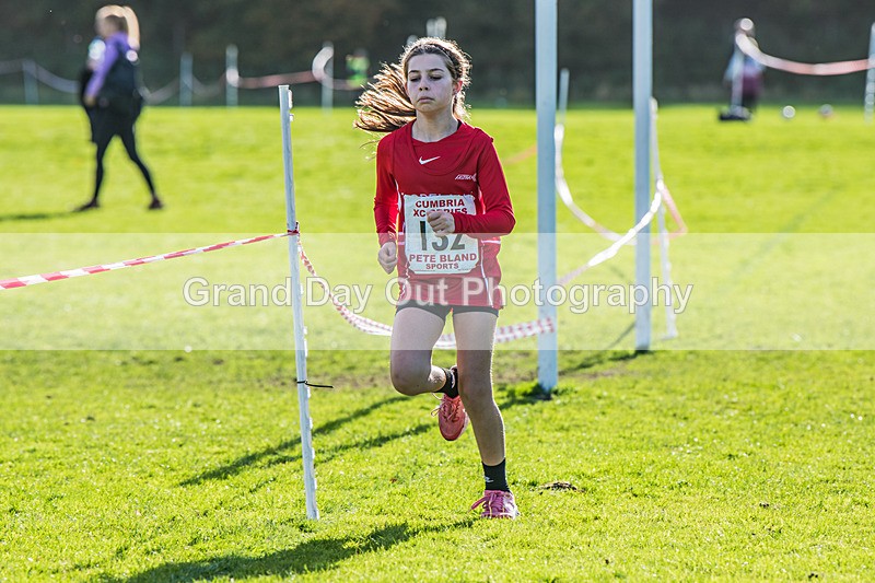 Cumbria XC-234 - Cumbria XC League Workington Saturday 26th October 2024