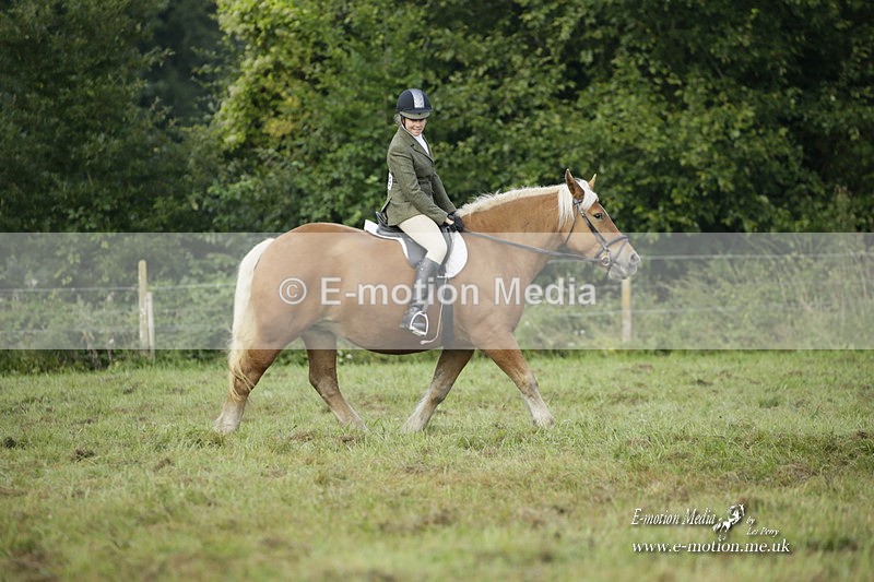BVRC 120921 3 - Bourne Valley Riding Club UA Dressage & Show Jumping 12/09/21