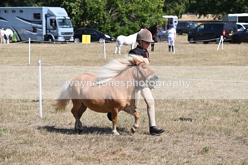 WJ6_9207 - Championship Classes 33-38