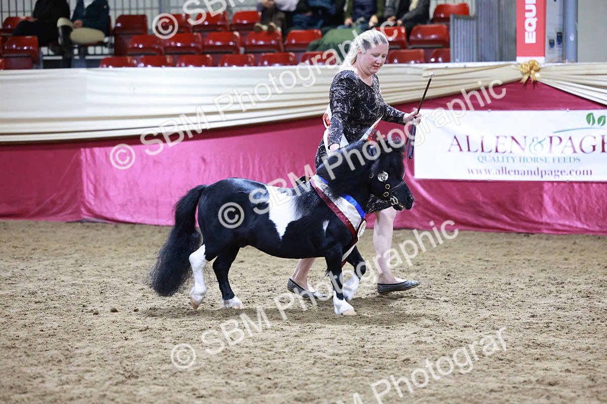 SBM_20875 - Class L - Coloured Champ