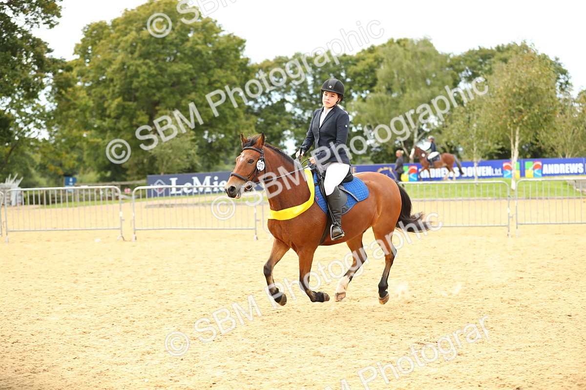 SBM_71340 - J18 - Junior Pony 85cm Championship