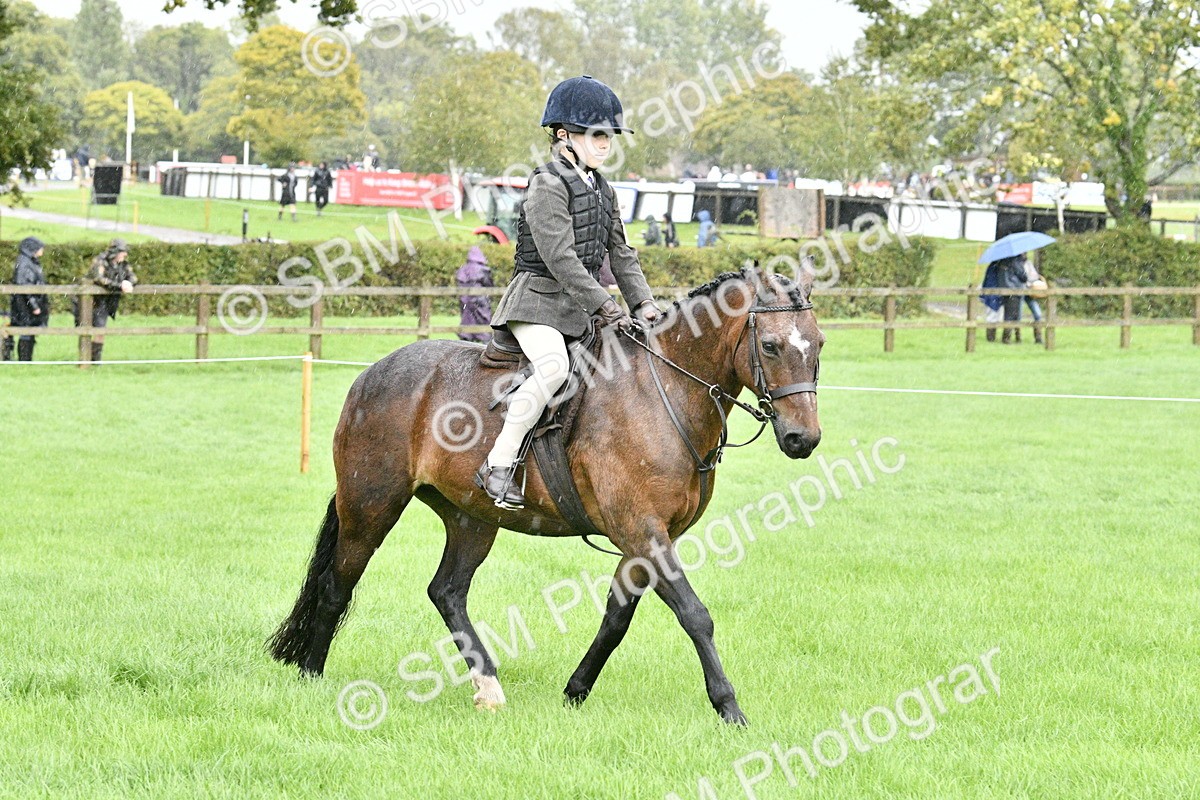 SBM_35522 - S30 - Nursery Stakes Working Hunter Pony