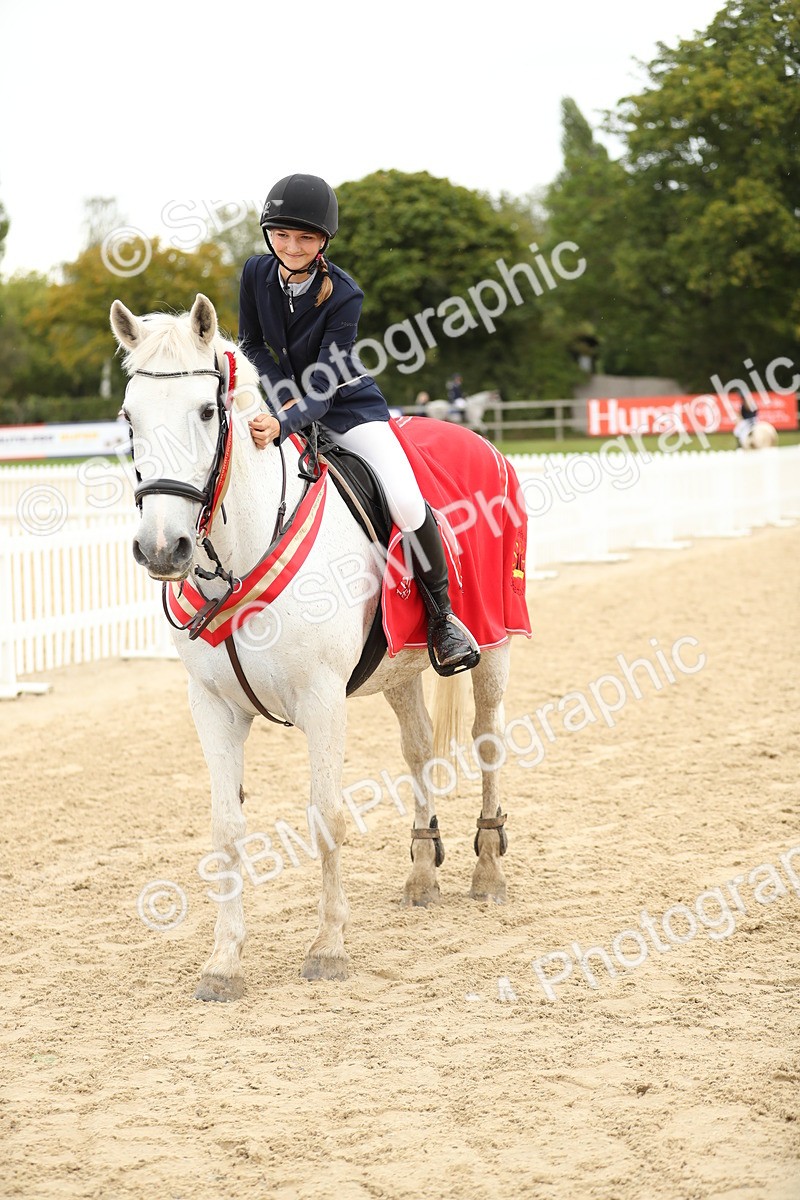 SBM_63163 - Supreme championship 75cm 80cm