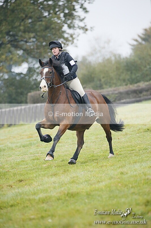 WWHT 181020 WWHT 181020 324 - WWEC Novice Restricted (0.80m) 18/10/20