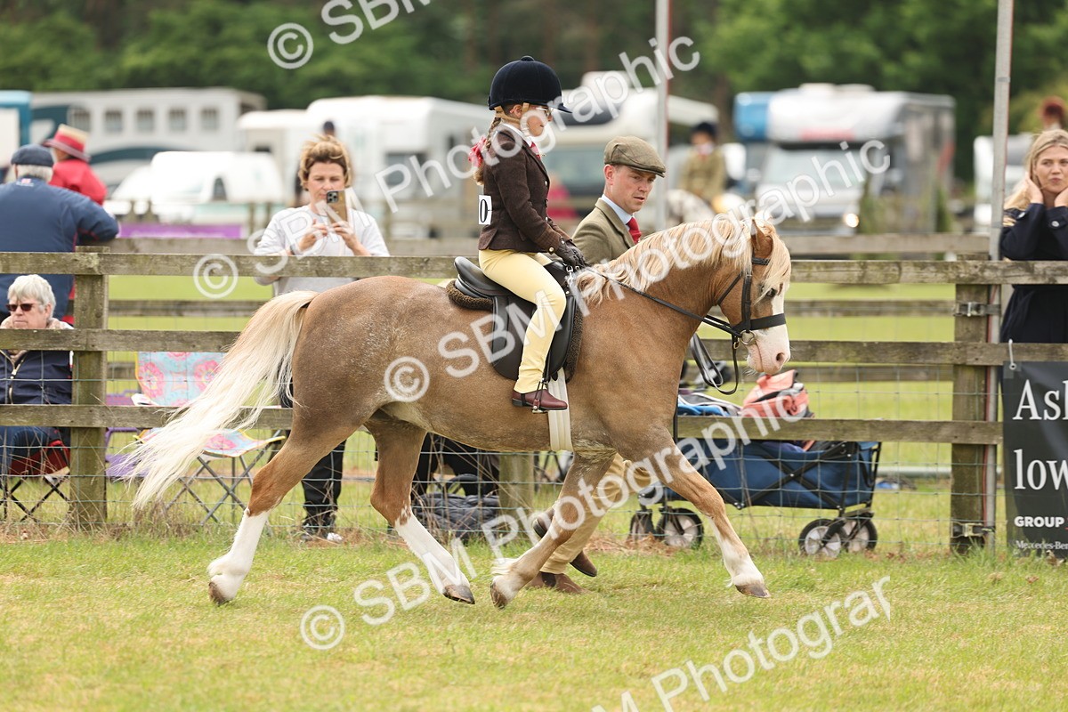 SBM_06647 - Class 74-75 - M&M Lead Rein and First Ridden Pony