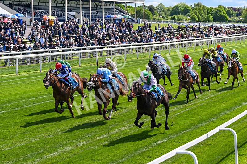 140526-Race 1-Persian Spring-0046 - Race 1 1.45pm Sky Bet ebfstallions.com Novice Stakes