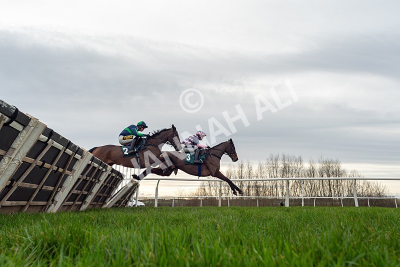 010126-Race 1-In The Age-8408 - Race 1