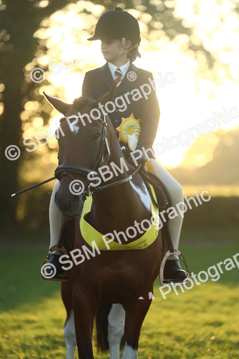 SBM_56661 - Fun & Versatile Supreme Championship