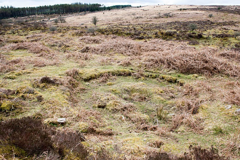 Buddle - Golden Dagger tin mine