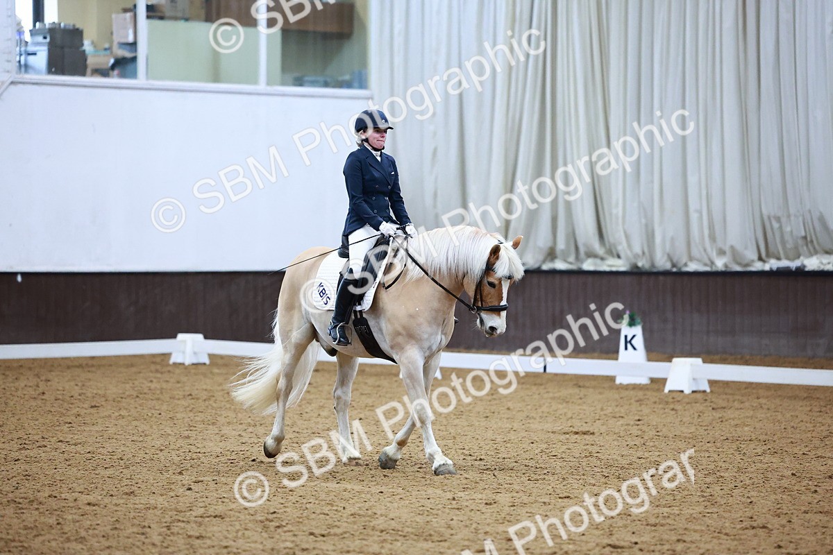 SBM_002866 - Novice Music