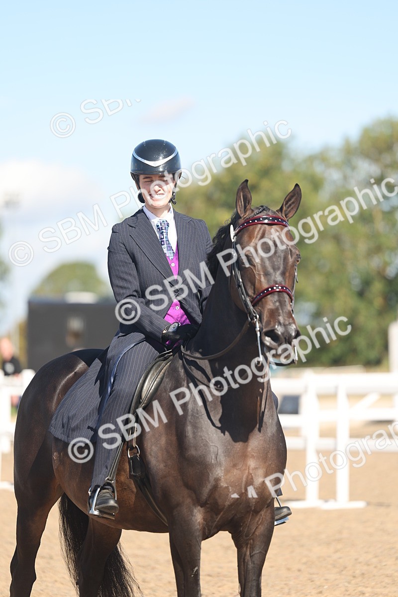 SBM_13066 - Class 305 - Ridden Foreign Breed Pure Bred