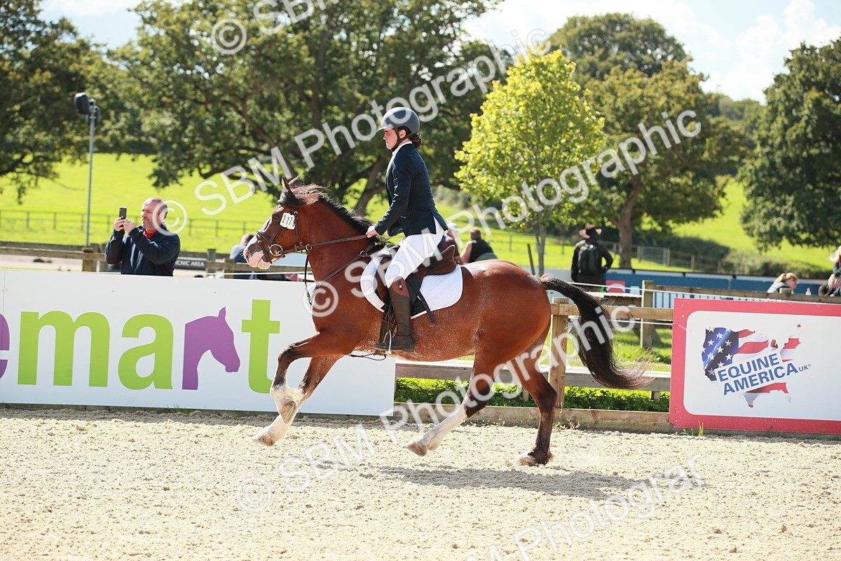 SBM_25466 - J28 Senior 60cm Championship