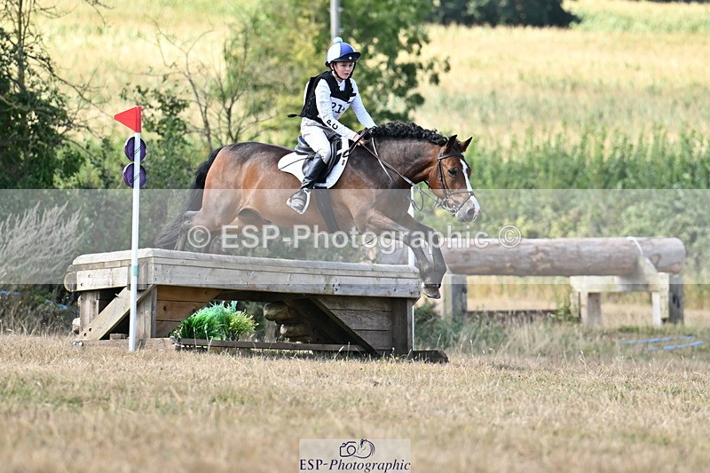 250824A-144829-38606 - 2147-George.Walford-meadow.sweet.conker