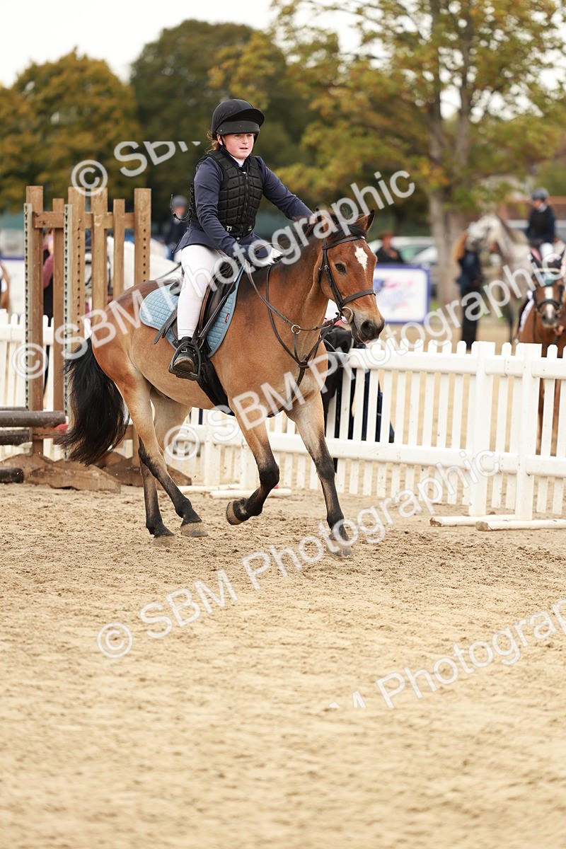SBM_57884 - J11 - Junior Pony 50cm Championship