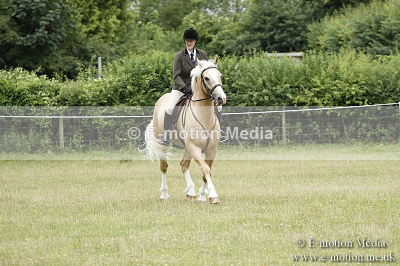 BVR160717-100 - Ring 3 BVRC Show 16/07/17