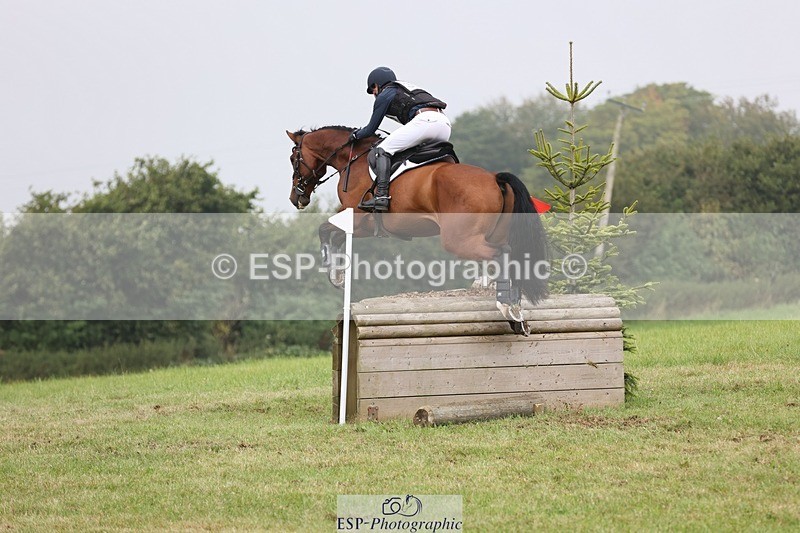 240901A-124614-08911 - 308-Tommy.Greengard-MBF.GOOGLE