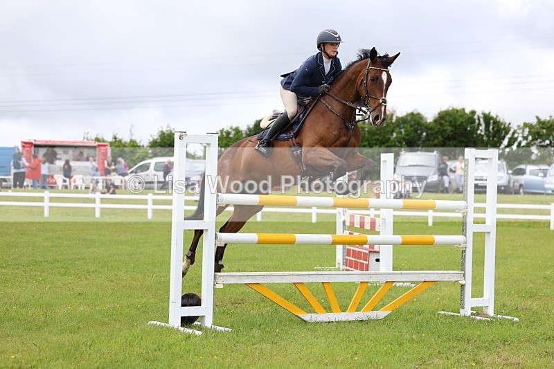 3E7A7124 - Class 12: Senior Foxhunter/1.20 open