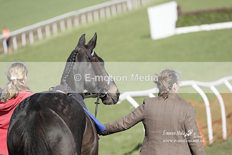 PtP 100423 959 - Old Berkshire Point-to-Point Lockinge 10/04/23