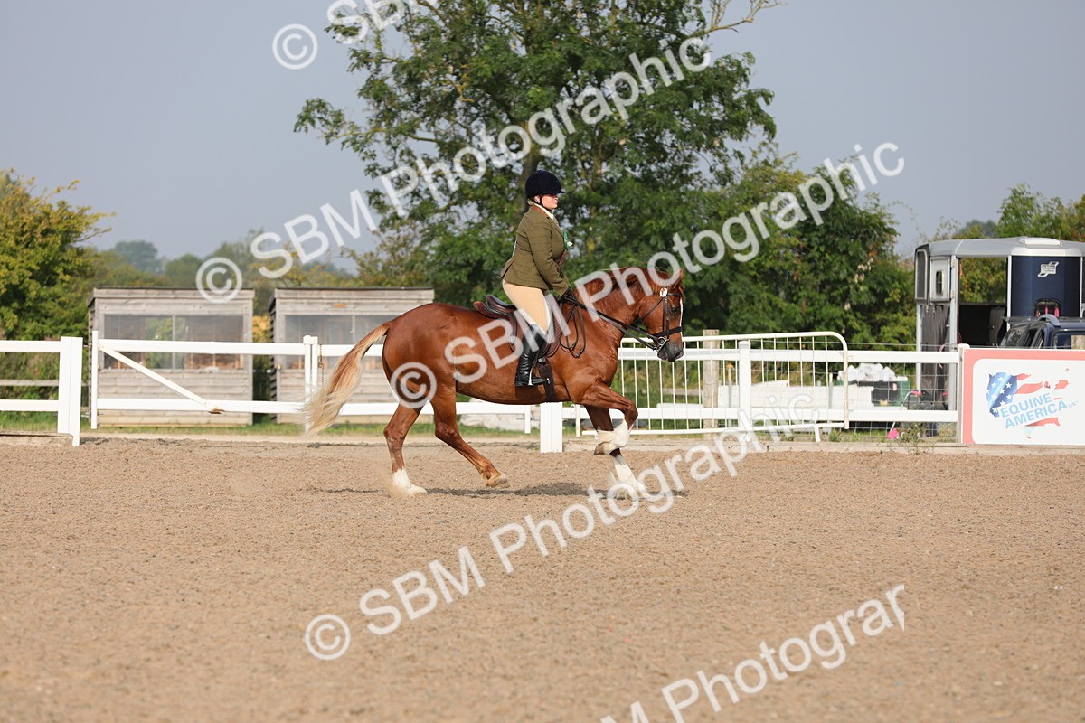 SBM_10186 - Class 302 Ridden M&M -Large Breeds