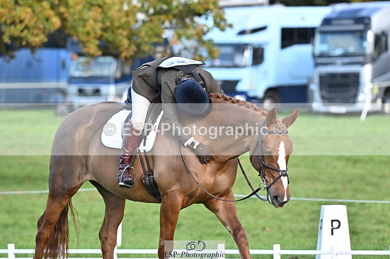 251024A-103015-08348 - G-556-Abi.Jacobs