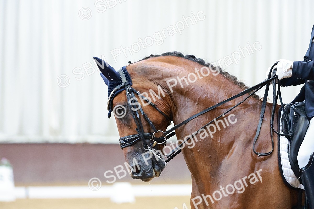 SBM_006193 - Class 3 - Medium 6 - 16.16-17.28