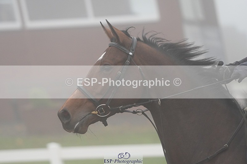 251003-101837-00028 - Cls 6 British Novice and 90cm