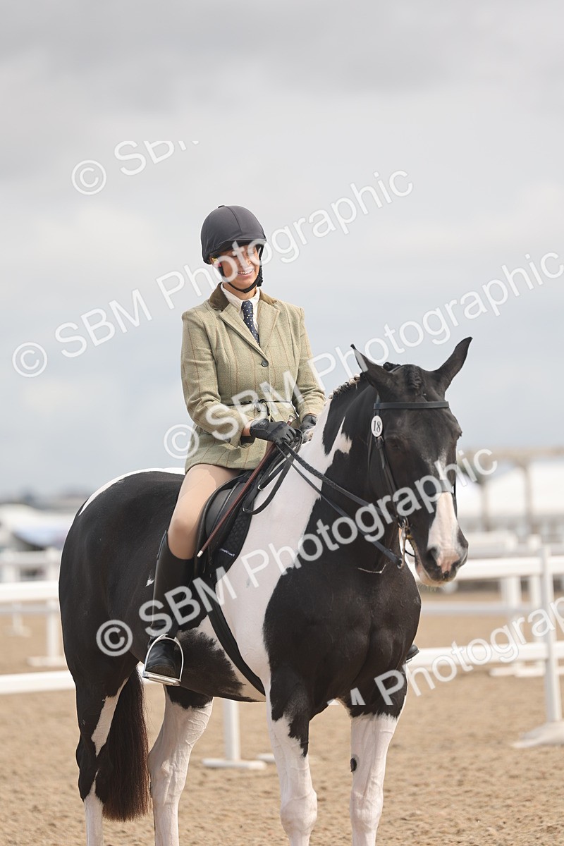 SBM_04534 - Class 19 - Horse/Pony Judge would most like to take home