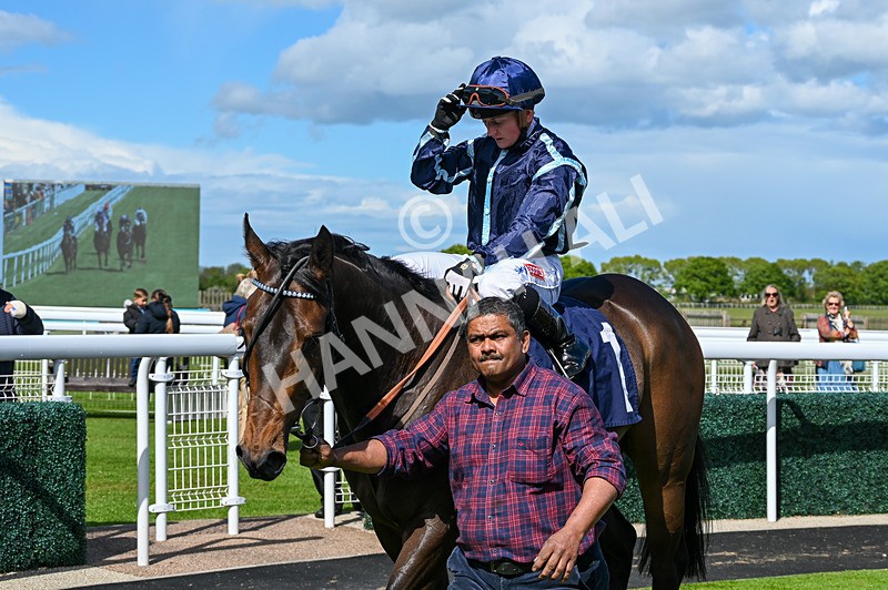120526-Race 3-Merlier-7868 - Race 3 3.30pm Bowel Cancer Screening Programme Saves Lives Selling Stakes