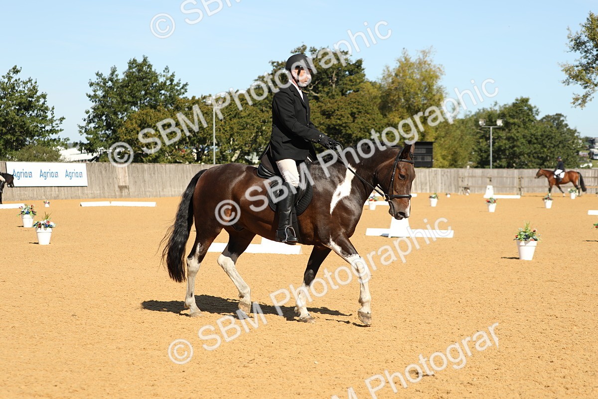 SBM_18834 - D10 - Small Tour Championship - Prelim 2