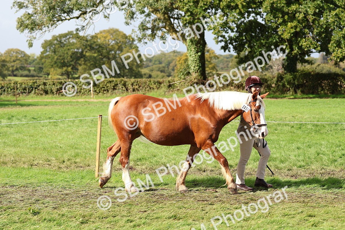 SBM_39404 - S24 - Young Veteran In Hand
