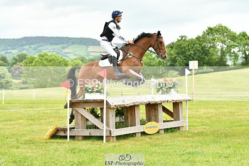 250524A-160746-14738 - C-258-Bill.Levett-ITALIAN.HARLEQUIN.NJ