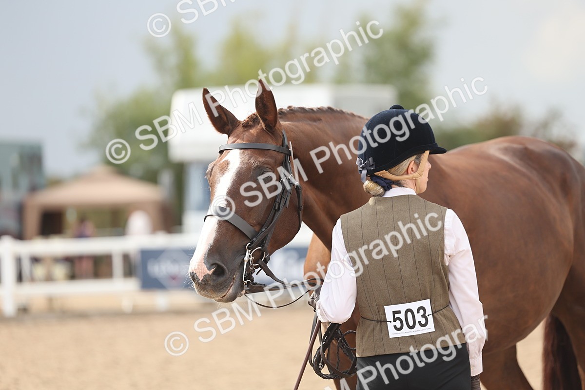 SBM_06896 - Class 25 - IH Foreign Breeds - Purebred