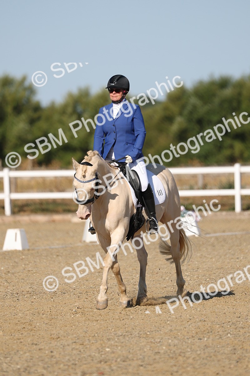 SBM_012691 - Class 1 - P5 Bronze 9.00.10.12