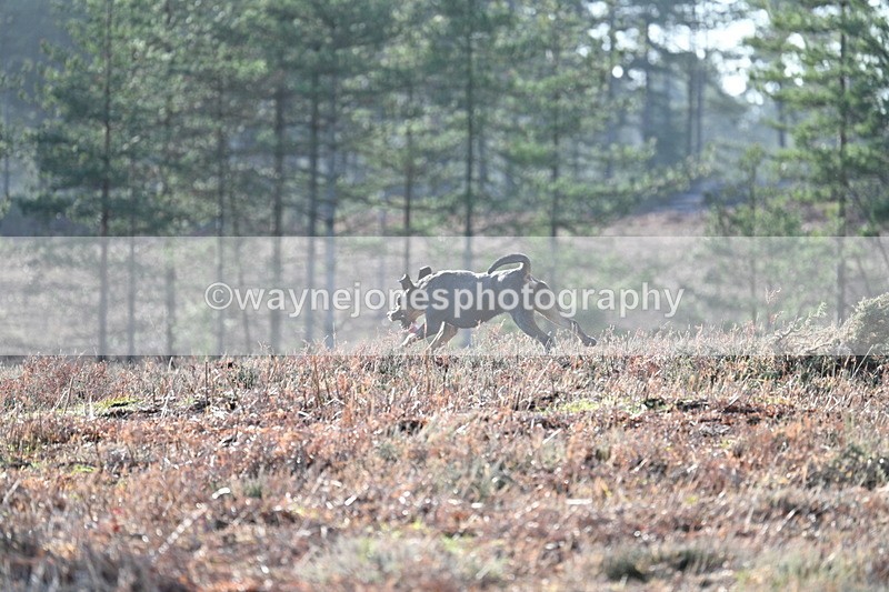 WJ7_7035 - Line 3 (no line 4 or 5)