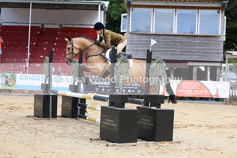 3E7A3391 - Class 4: Senior British Novice/90cm open