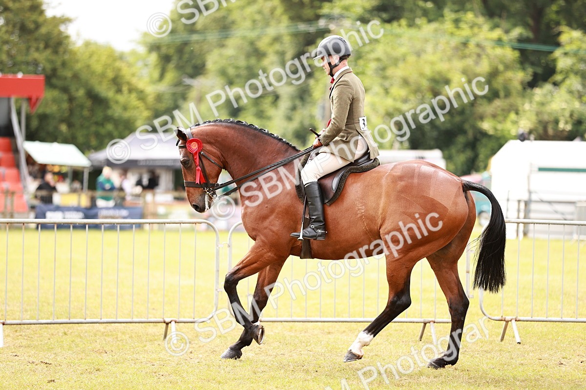 SBM_11585 - Class 81-84 - RIHS Ridden hunters Inc Ladies Hunter