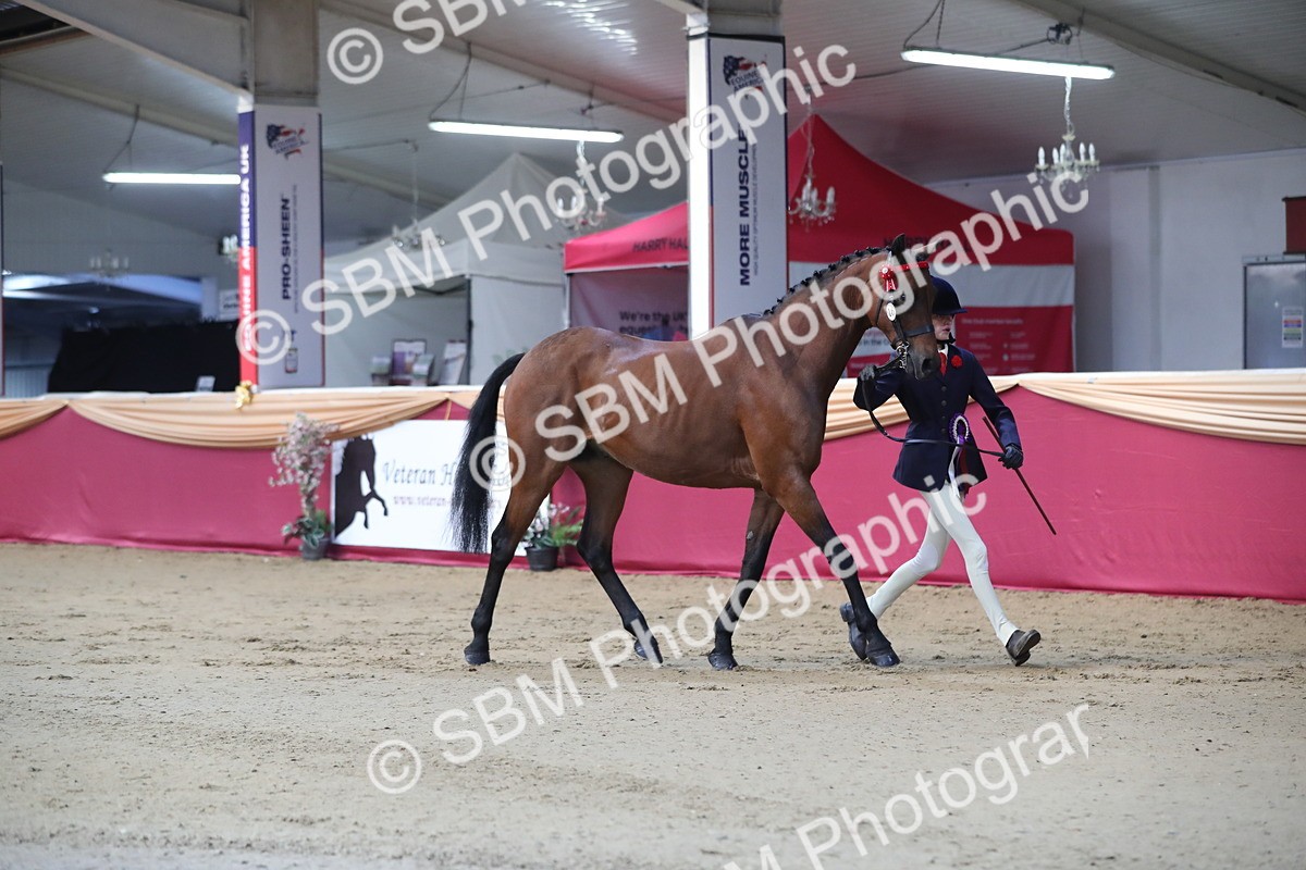SBM_01419 - Class 3a Area IH Pre Vet