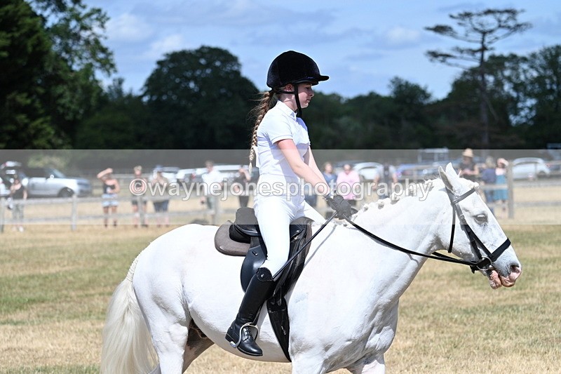 WJ7_3339 - Class 8 Ridden Veterans