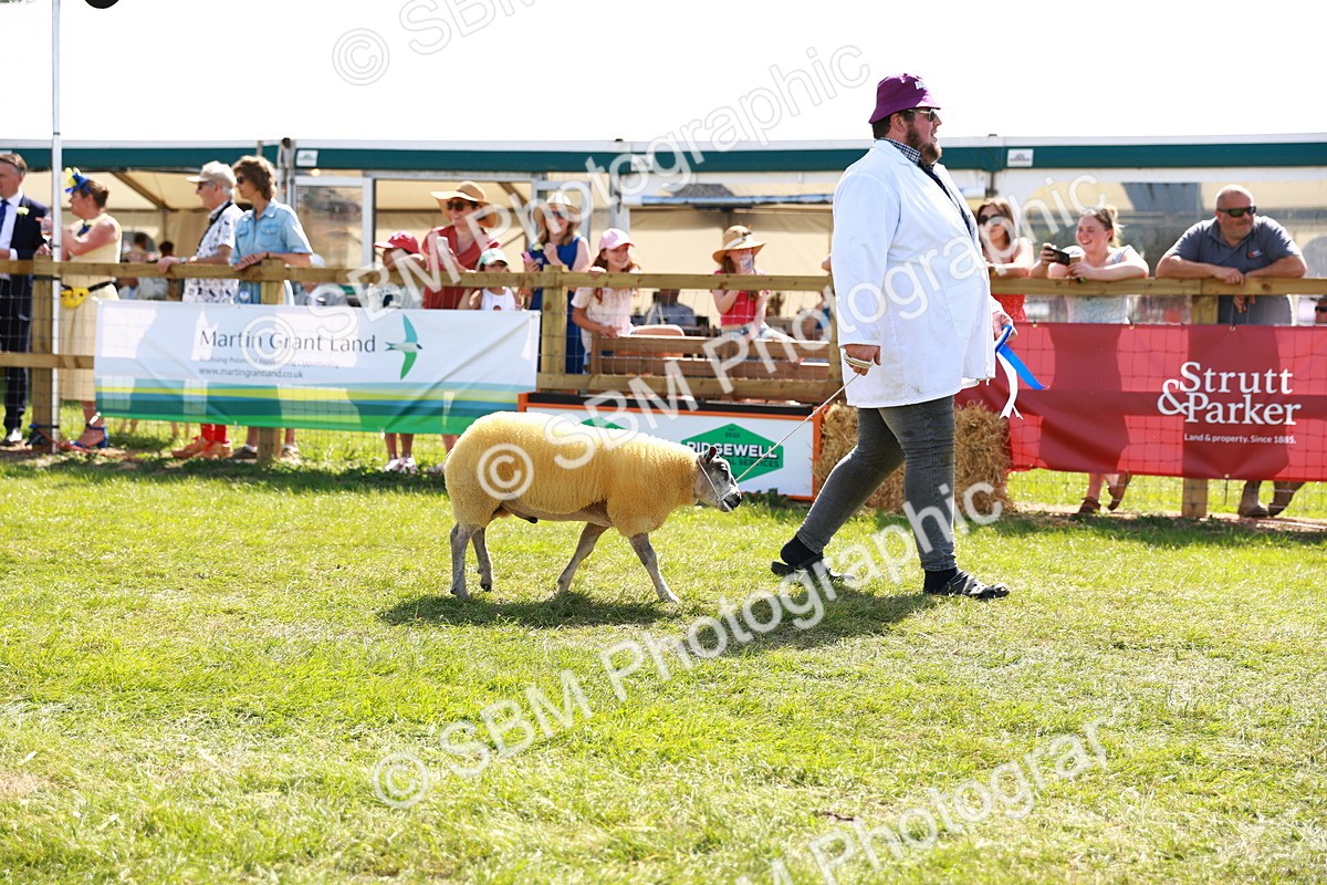 SBM_08415 - Grand Parade