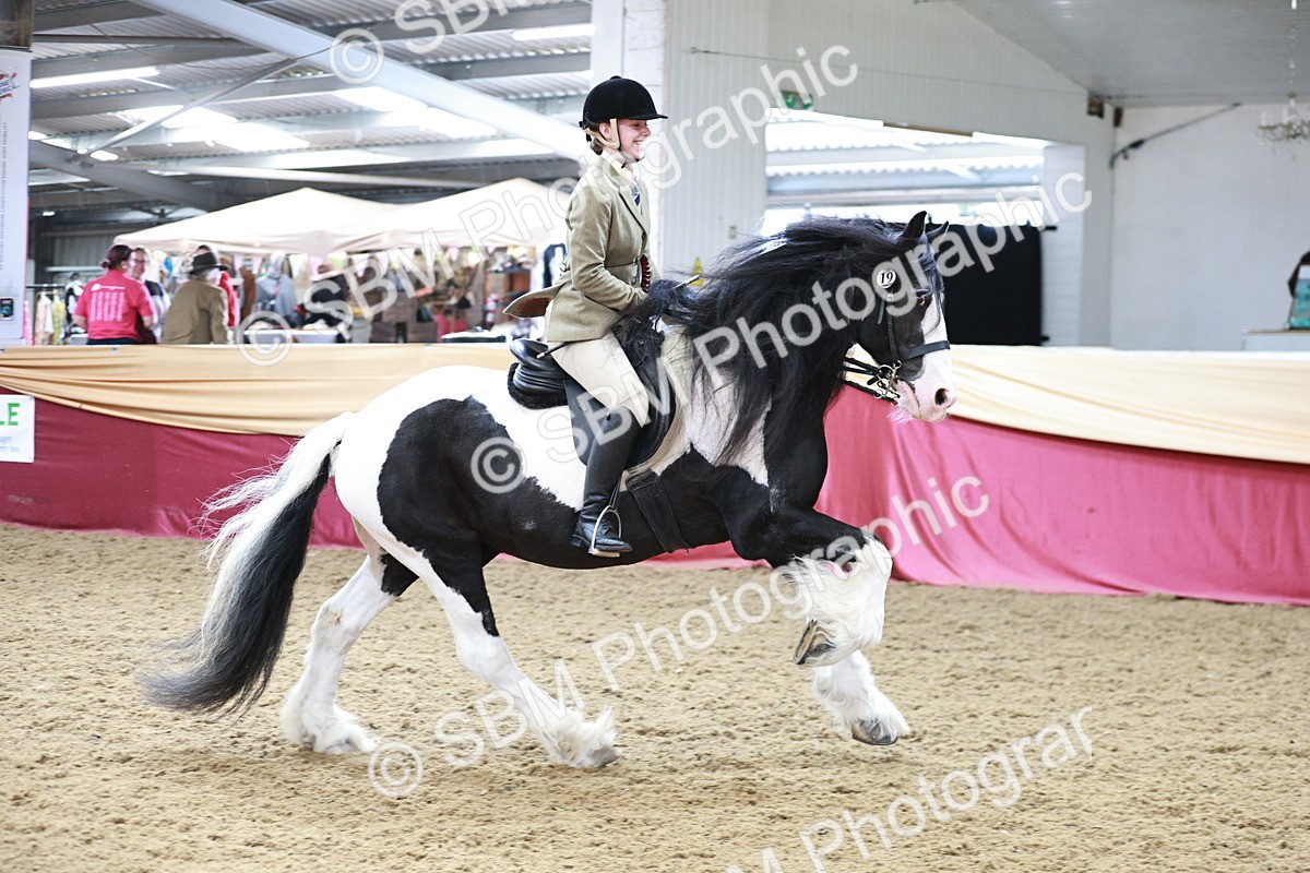 SBM_09156 - Class 12R - Regional Ridden Pre-Vet