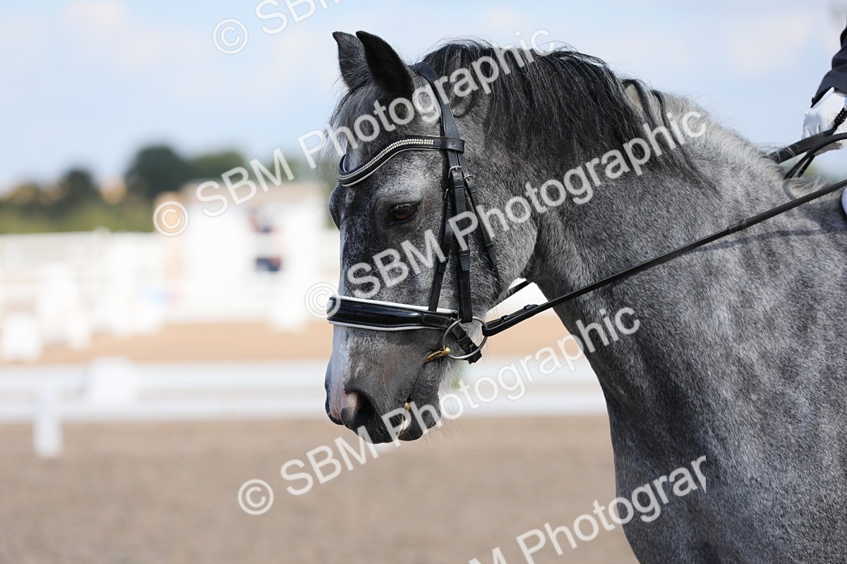 SBM_03869 - Class 31 Prelim 1